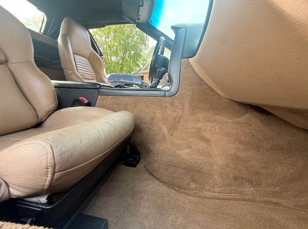 Carpet and Stain Etraction