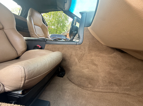 Carpet and Stain Etraction