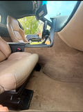 Carpet and Stain Etraction