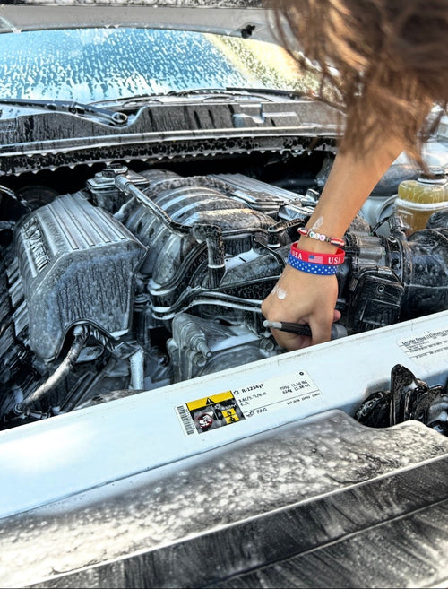 Engine Bay Restoration