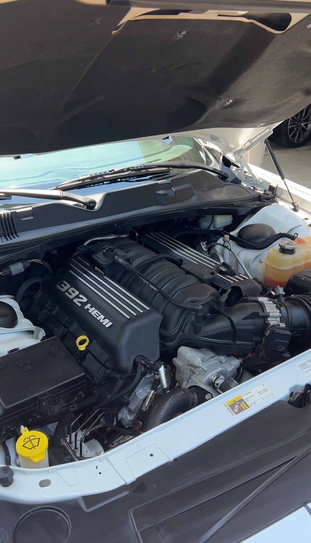 Engine Bay Restoration